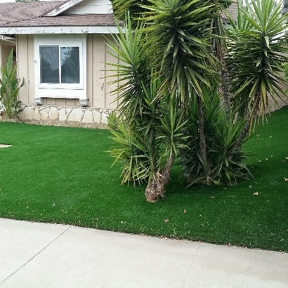 Grass Turf Parrottsville, Tennessee Landscaping Business, Front Yard