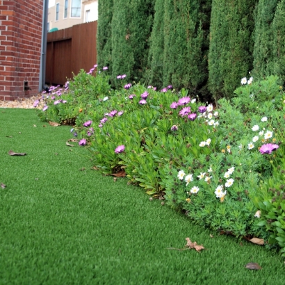 Grass Turf Wartburg, Tennessee Landscaping, Front Yard