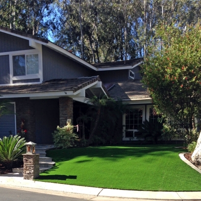 Installing Artificial Grass Harrison, Tennessee Landscape Design, Front Yard Landscaping