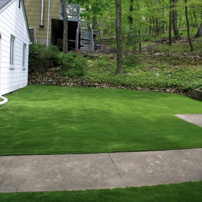 Lawn Services Dyer, Tennessee Roof Top, Front Yard Design