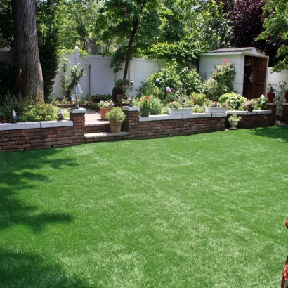 Plastic Grass Collegedale, Tennessee Lawn And Garden, Backyard Ideas