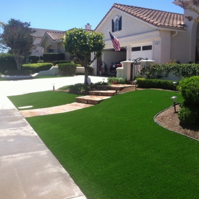 Synthetic Grass Cost Gleason, Tennessee Lawns, Front Yard Ideas