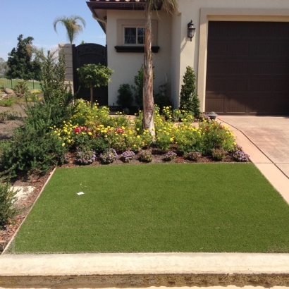 Synthetic Grass Cost Philadelphia, Tennessee Landscaping Business, Small Front Yard Landscaping