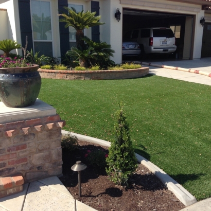 Synthetic Turf Belle Meade, Tennessee Design Ideas, Front Yard Ideas