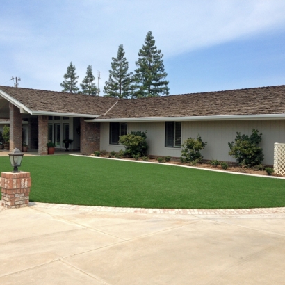 Synthetic Turf Supplier Clarksburg, Tennessee Home And Garden, Front Yard Landscaping