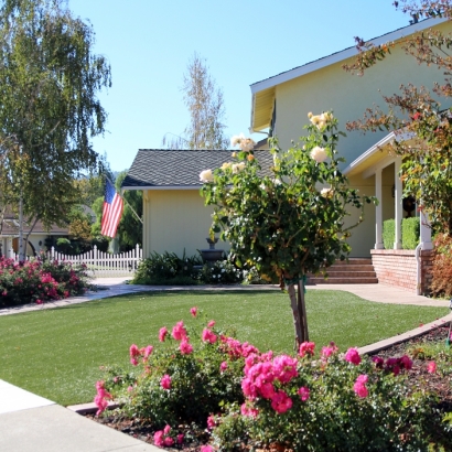 Synthetic Turf Supplier Johnson City, Tennessee Rooftop, Front Yard Landscaping