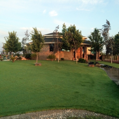 Turf Grass Lafayette, Tennessee Landscaping, Commercial Landscape