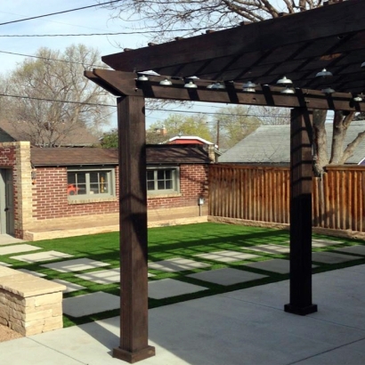 Turf Grass Woodland Mills, Tennessee City Landscape, Backyard