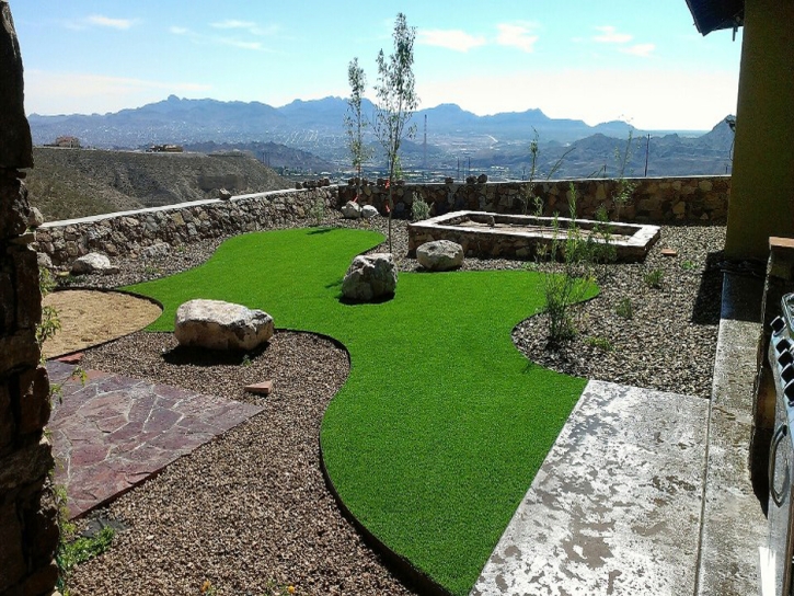 Artificial Grass Bolivar, Tennessee Pet Paradise, Backyard Landscape Ideas