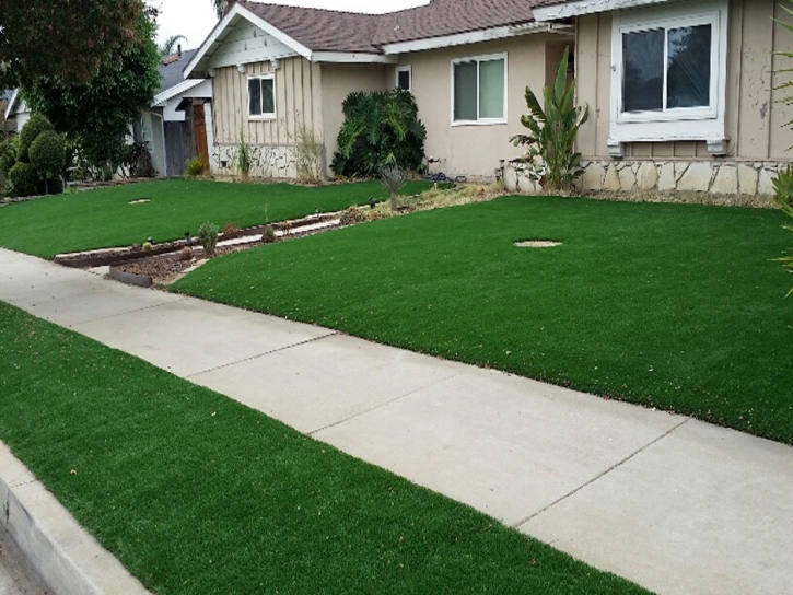 Artificial Grass Carpet Baneberry, Tennessee Landscape Photos, Front Yard Landscape Ideas