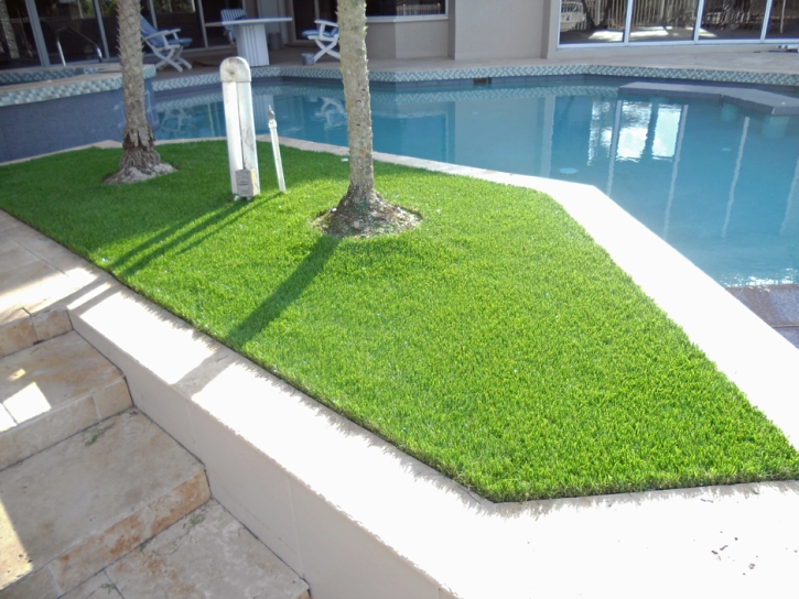 Artificial Grass Carpet Bethpage, Tennessee Design Ideas, Backyard Landscaping