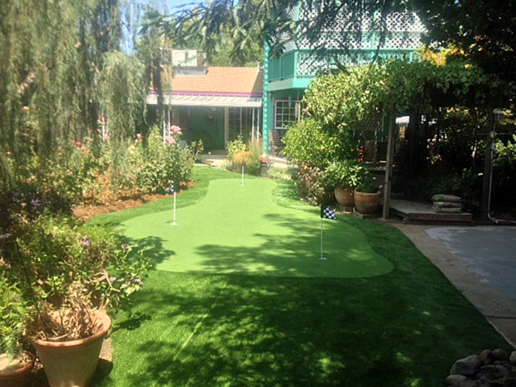 Artificial Grass Carpet Hohenwald, Tennessee Garden Ideas