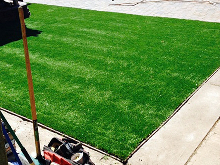 Artificial Grass Carpet Moscow, Tennessee Landscape Photos