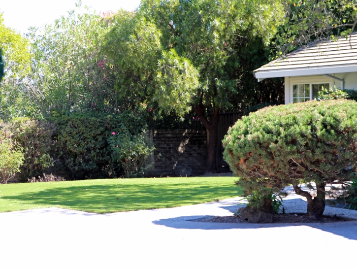 Artificial Grass Carpet Puryear, Tennessee Rooftop, Small Front Yard Landscaping