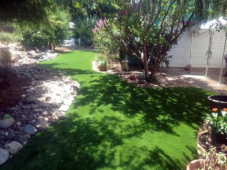 Artificial Grass Carpet Waverly, Tennessee Landscaping, Small Backyard Ideas