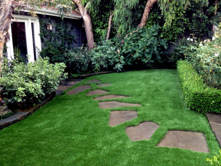 Artificial Grass Cowan, Tennessee Home And Garden, Backyard Designs