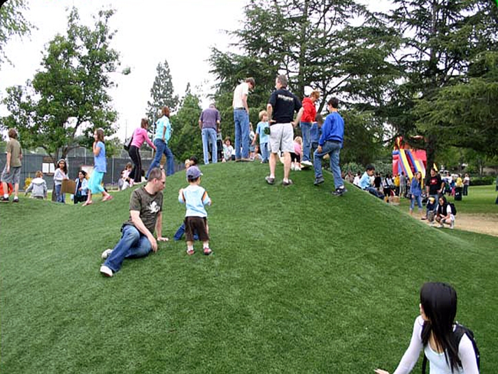 Artificial Grass Gilt Edge, Tennessee Garden Ideas, Parks