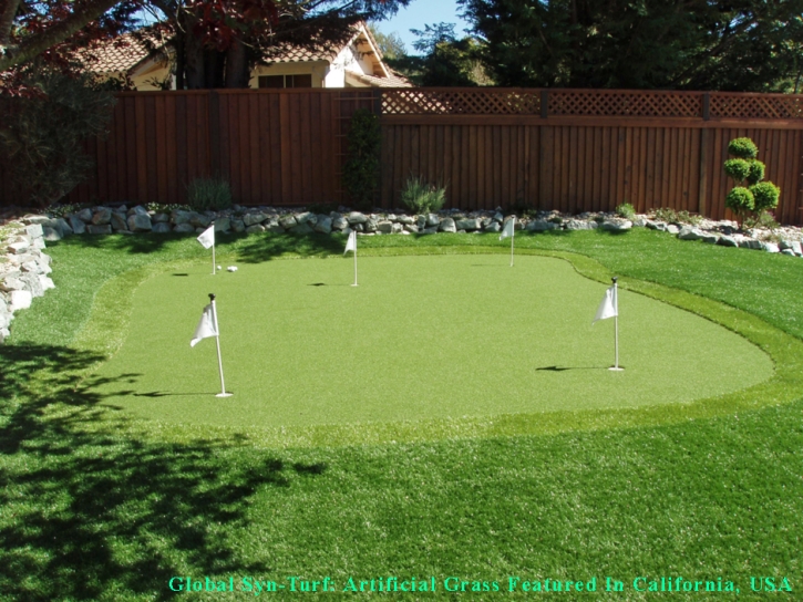 Artificial Grass Goodlettsville, Tennessee Landscaping, Backyard Ideas