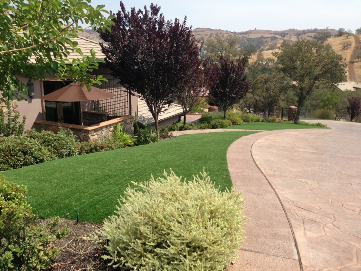 Artificial Grass Installation Sardis, Tennessee Lawn And Garden, Front Yard Landscape Ideas