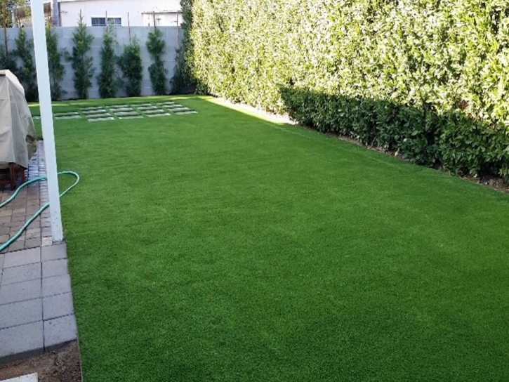 Artificial Grass Installation Sneedville, Tennessee Lawn And Garden, Backyard Garden Ideas