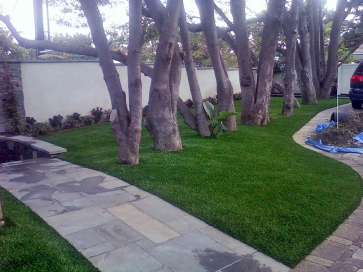 Artificial Grass Installation Tazewell, Tennessee Landscape Photos, Small Front Yard Landscaping