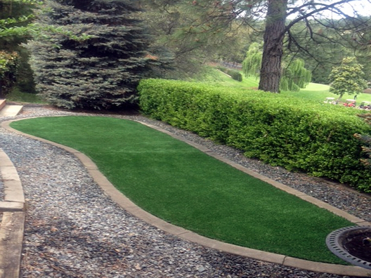 Artificial Grass Linden, Tennessee Landscaping