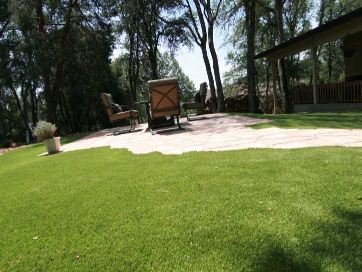 Artificial Grass Milledgeville, Tennessee Paver Patio, Backyards