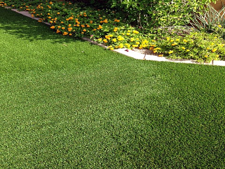 Artificial Grass New Union, Tennessee Garden Ideas, Front Yard Landscaping