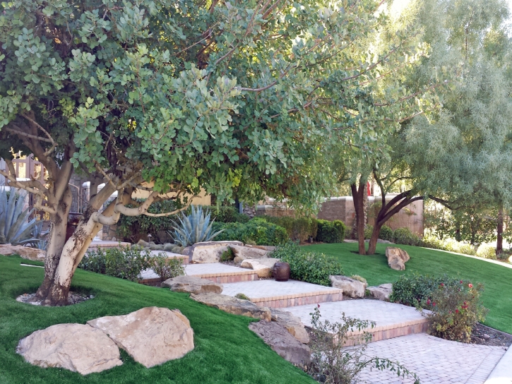 Artificial Grass Oakdale, Tennessee Home And Garden, Backyard Landscape Ideas