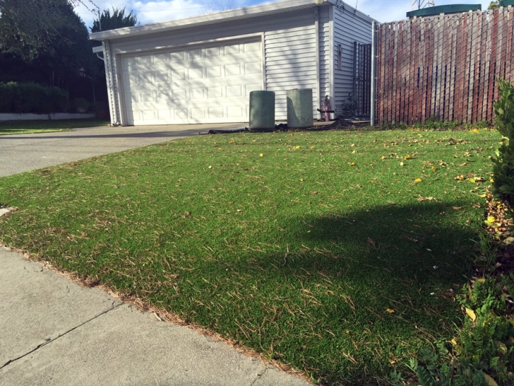 Artificial Grass Obion, Tennessee Landscape Rock, Small Front Yard Landscaping