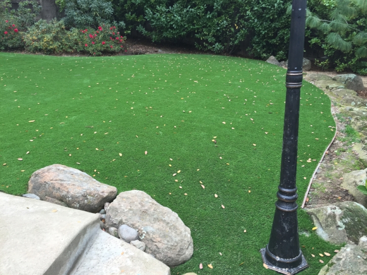 Artificial Grass Saulsbury, Tennessee Design Ideas, Backyard Landscaping Ideas