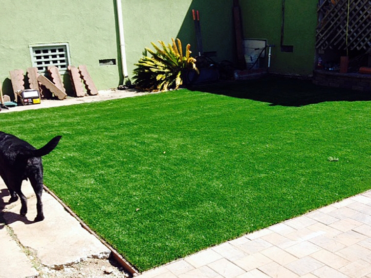 Artificial Grass Townsend, Tennessee Hotel For Dogs, Backyard Garden Ideas