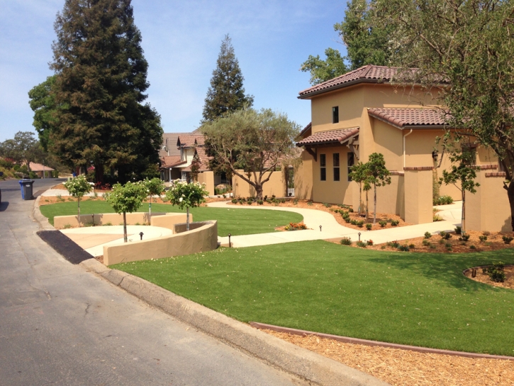 Artificial Lawn Byrdstown, Tennessee Rooftop, Landscaping Ideas For Front Yard