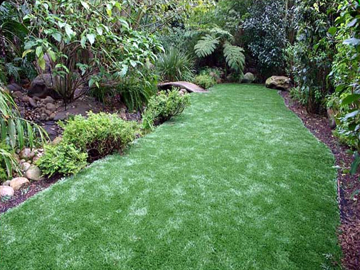 Artificial Lawn Cumberland Gap, Tennessee City Landscape, Backyard Ideas