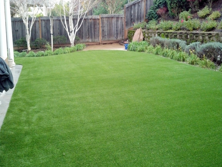 Artificial Lawn Union City, Tennessee Backyard Playground, Small Backyard Ideas