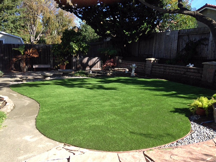 Artificial Turf Bolivar, Tennessee Lawn And Landscape, Backyards