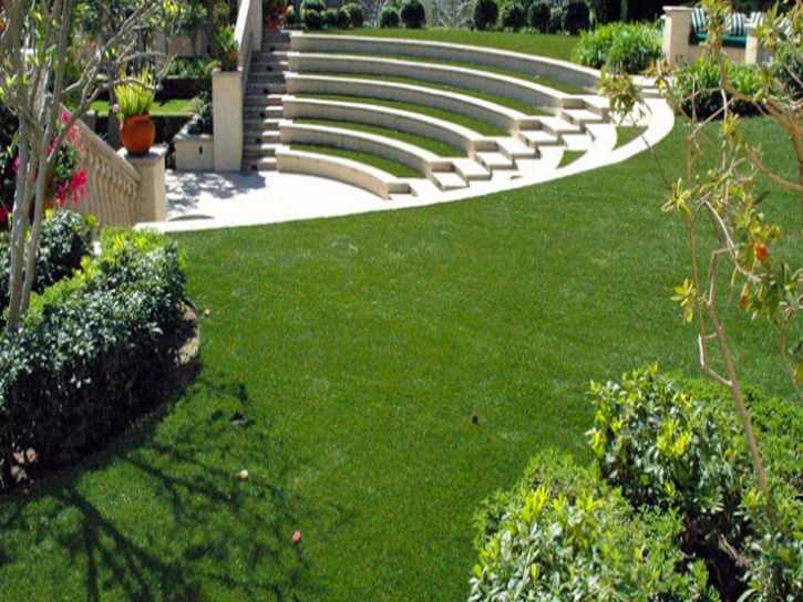 Artificial Turf Celina, Tennessee Backyard Deck Ideas