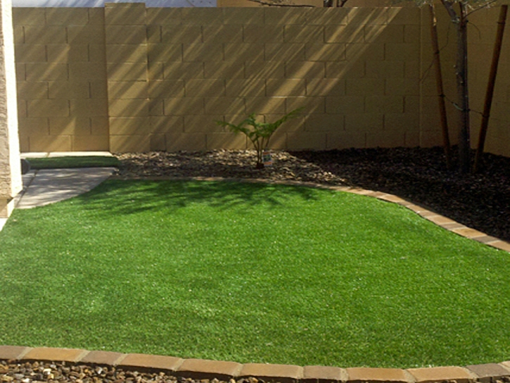 Artificial Turf Cost Crossville, Tennessee Landscape Design, Backyards