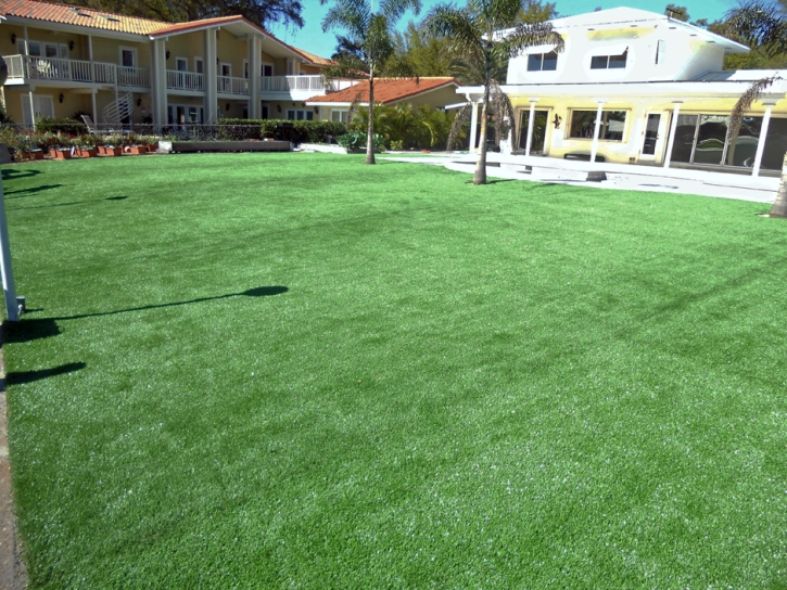 Artificial Turf Cost Elgin, Tennessee Roof Top, Swimming Pool Designs