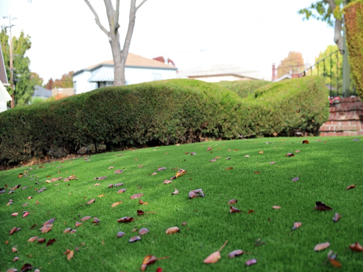 Artificial Turf Cost Orme, Tennessee Home And Garden, Front Yard Landscaping Ideas