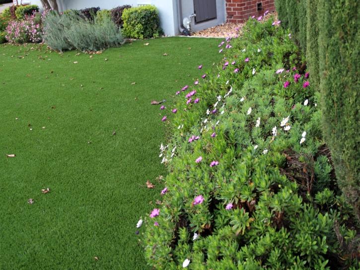 Artificial Turf East Chattanooga, Tennessee Lawns, Front Yard