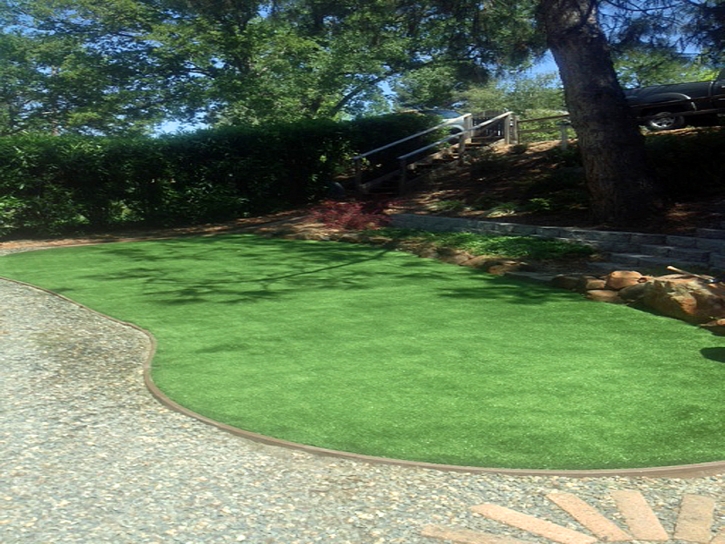 Artificial Turf Installation New Johnsonville, Tennessee Lawns, Backyard