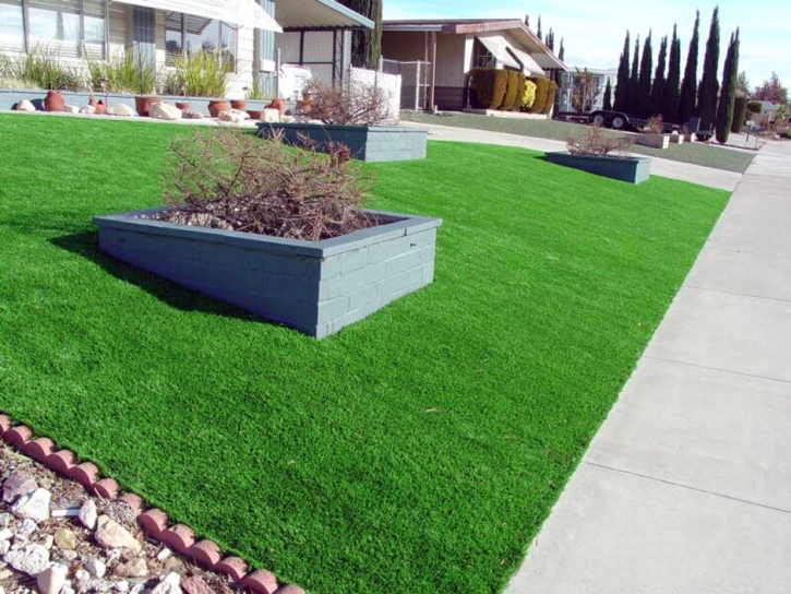 Artificial Turf Installation Ramer, Tennessee Landscape Photos, Small Front Yard Landscaping