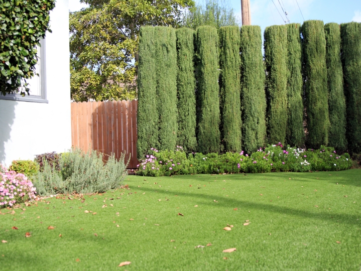 Artificial Turf Installation Sharon, Tennessee Landscaping, Front Yard Landscaping Ideas