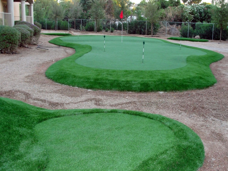 Artificial Turf Installation White Bluff, Tennessee Backyard Putting Green, Backyard Garden Ideas