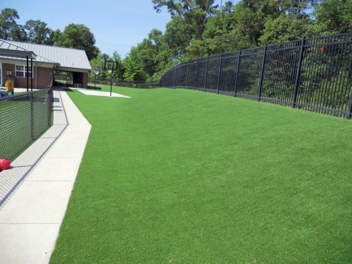 Artificial Turf Lexington, Tennessee Landscape Design, Commercial Landscape