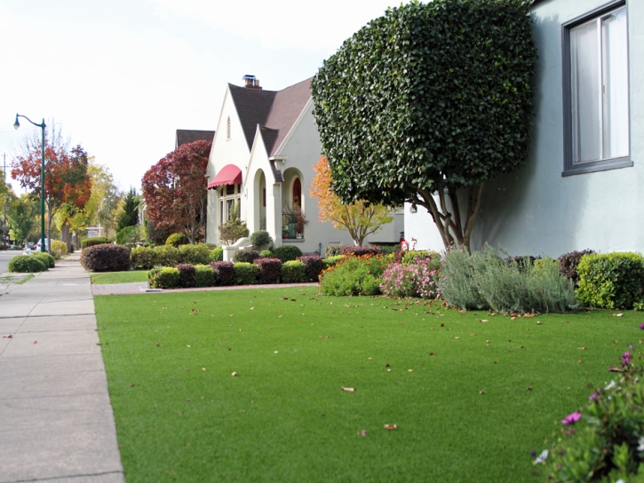 Best Artificial Grass Falling Water, Tennessee Lawn And Landscape, Front Yard Landscaping