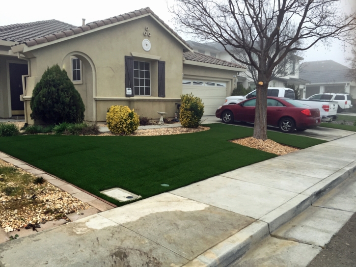 Best Artificial Grass Friendsville, Tennessee Home And Garden, Front Yard Ideas