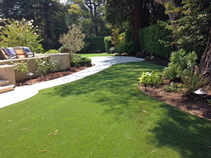 Best Artificial Grass Pikeville, Tennessee Lawn And Garden, Backyard Design