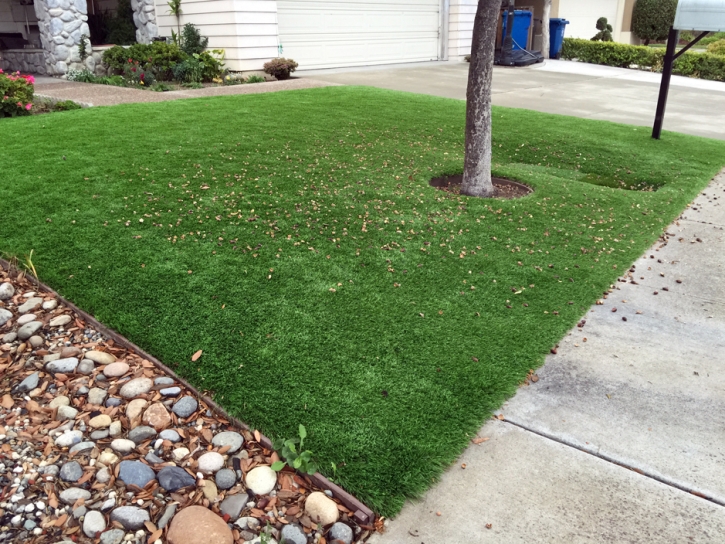 Best Artificial Grass Spring City, Tennessee Home And Garden, Front Yard